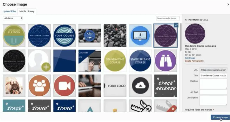 AccessAlly Review: Screenshot of of AccessAlly Media Library