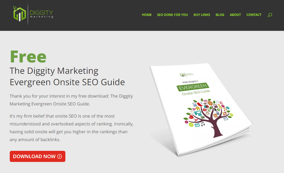 Diggity marketing onsite SEO guide