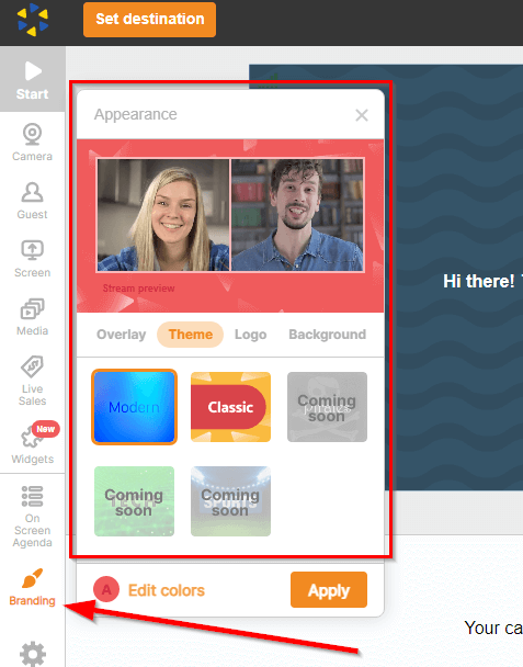 red arrow pointing at "Branding" menu option, red box around appearance options for overlay, theme, logo, and background