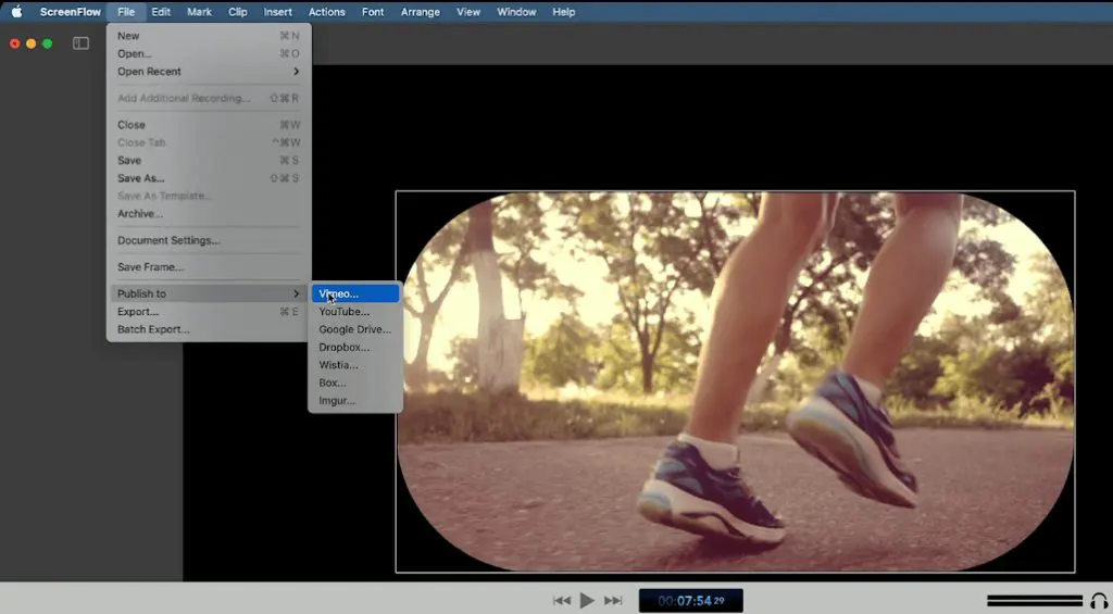 screenshot of ScreenFlow dropdown menu showing options for "Publish to"