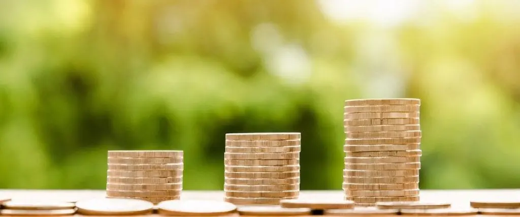 Stacks of coins of increasing height to represent growth