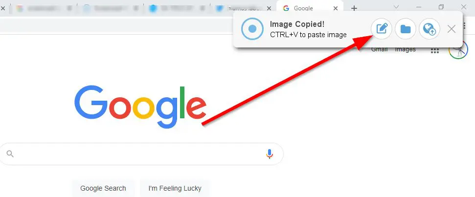 Screencast-O-Matic screenshot options icon