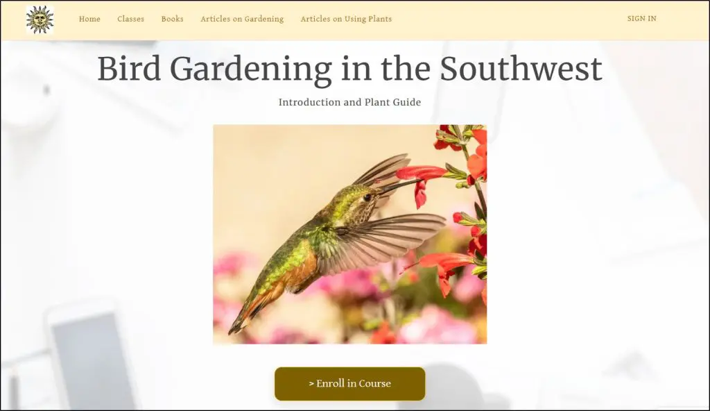 new zenler examples 2