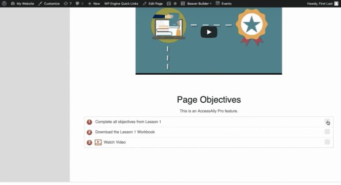 AccessAlly Review: Page Objectives