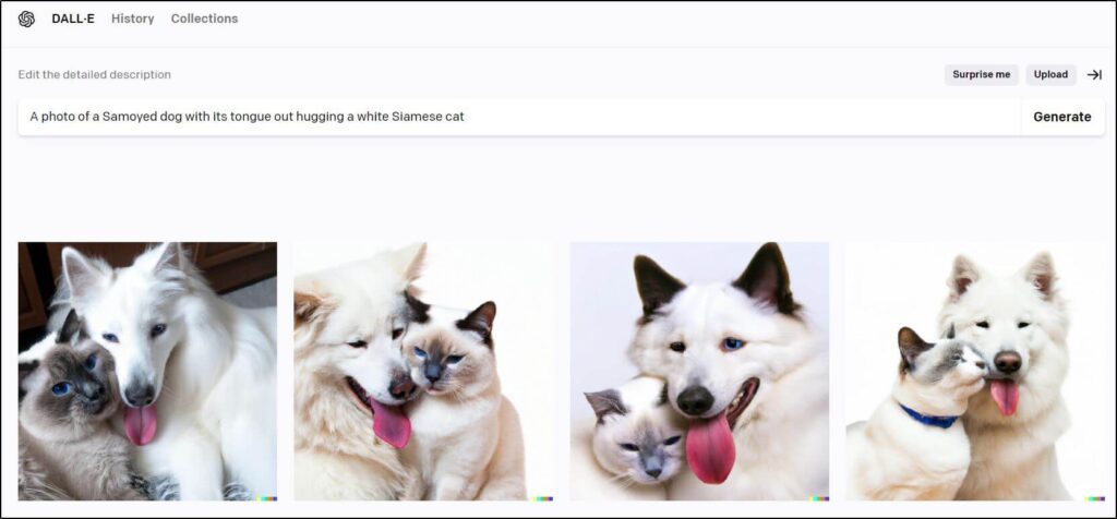 4 images of a samoyed dog hugging a white cat