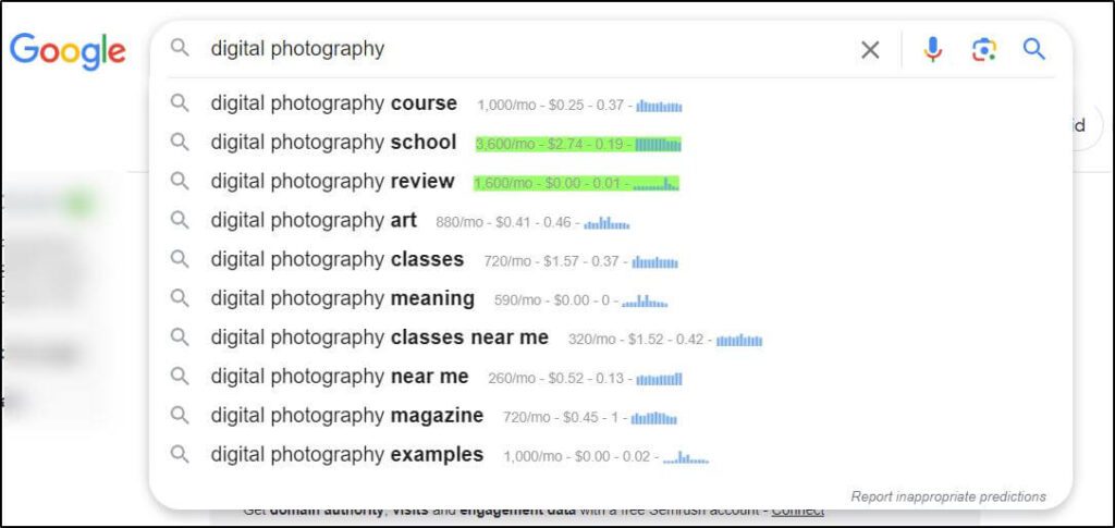 digital photography google search term with other search terms underneath it