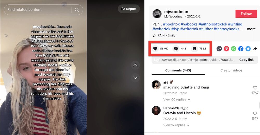 MJ Woodman, a fantasy author on BookTok. Photo of MJ on the left with text about the plot over her picture. To the right is her TikTok message "Pain... #booktok....", red box around likes, comments,.
