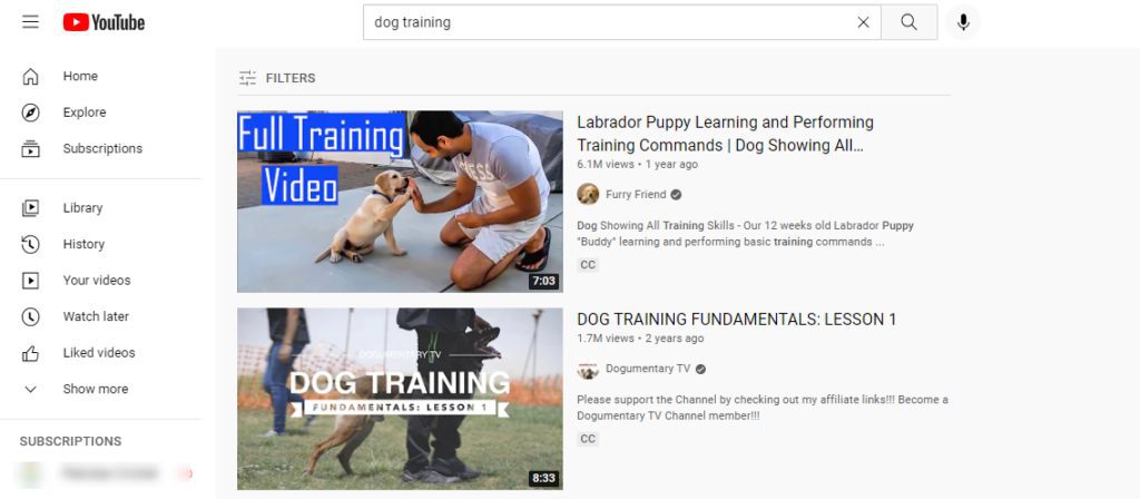 Screenshot of the YouTube SERP page for the keyword "dog training"