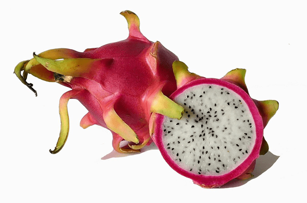 Photo of a dragon fruit